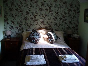 דביזס Vine Cottage B&B מראה חיצוני תמונה